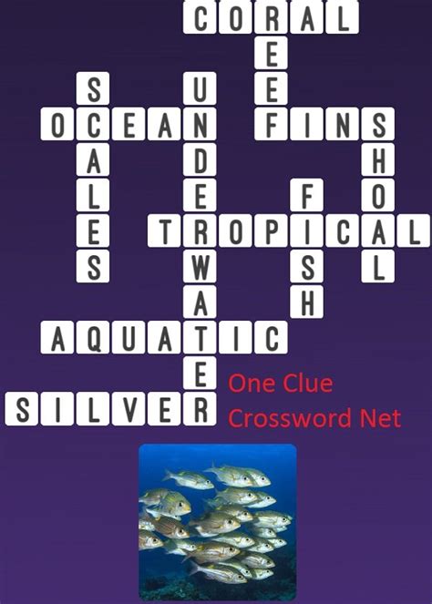 Flat, wide fish Crossword Clue .